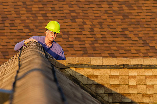 Best Roof Gutter Cleaning  in Flomaton, AL
